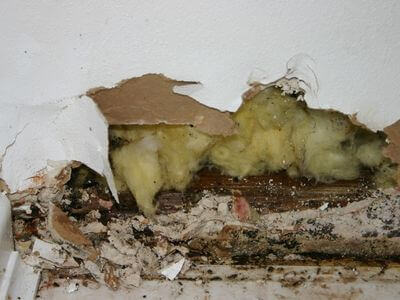 About PristineRise - water damage restoration experts in Columbus